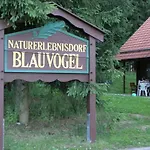 Nr 32, Typ A, Blauvogel, Hasselfelde, Harz 別荘