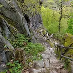 別荘 Nr 32, Typ A, Blauvogel, Hasselfelde, Harz