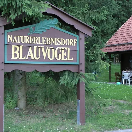 Nr 32, Typ A, Blauvogel, Hasselfelde, Harz Holiday home