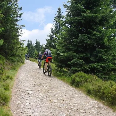 Nr 32, Typ A, Blauvogel, Hasselfelde, Harz Hasselfelde