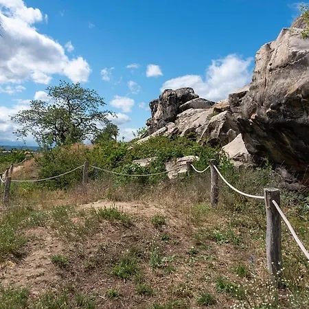 بيت للعطل Nr 32, Typ A, Blauvogel, Hasselfelde, Harz
