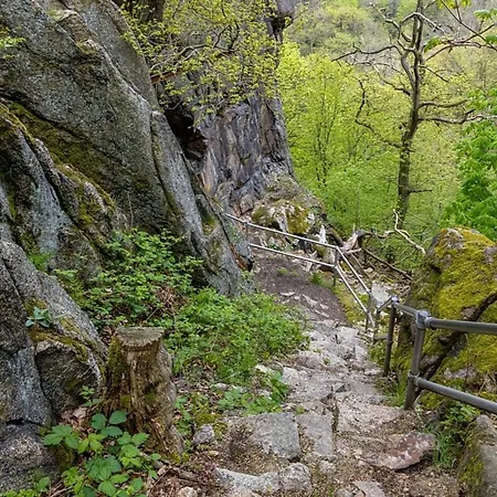 Casa de Férias Nr 32, Typ A, Blauvogel, Hasselfelde, Harz