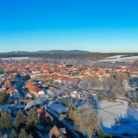 Nr 32, Typ A, Blauvogel, Hasselfelde, Harz * Hasselfelde