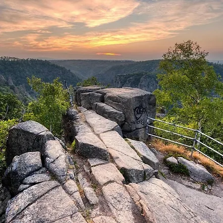 Nr 32, Typ A, Blauvogel, Hasselfelde, Harz *