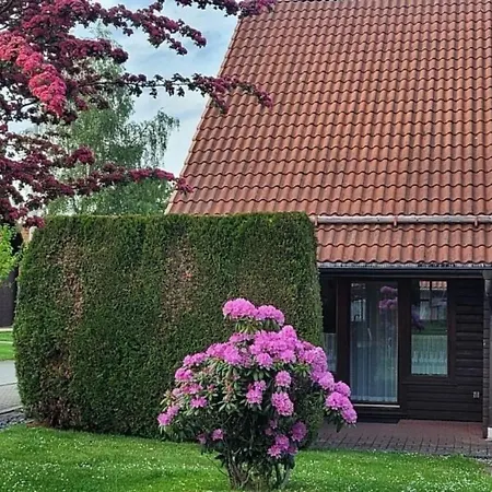 Nr 32, Typ A, Blauvogel, Hasselfelde, Harz *