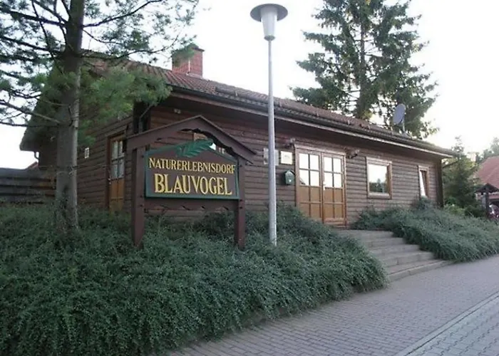 Nr 32, Typ A, Blauvogel, Hasselfelde, Harz