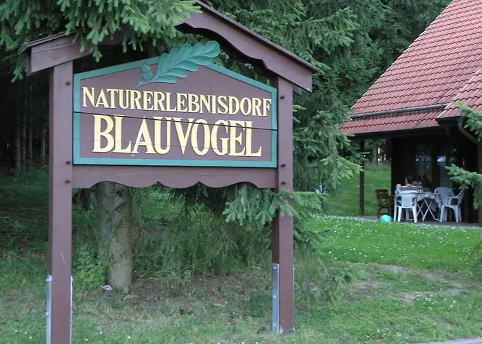 Nr 32, Typ A, Blauvogel, Hasselfelde, Harz Casa vacanze