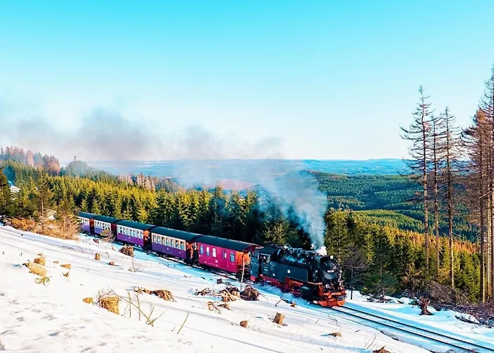 Nr 32, Typ A, Blauvogel, Hasselfelde, Harz