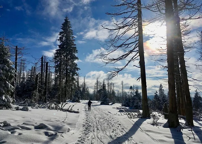 Nr 32, Typ A, Blauvogel, Hasselfelde, Harz Hasselfelde