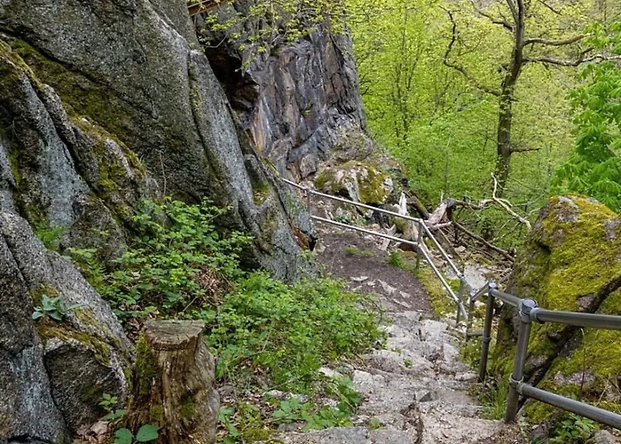 Casa vacanze Nr 32, Typ A, Blauvogel, Hasselfelde, Harz